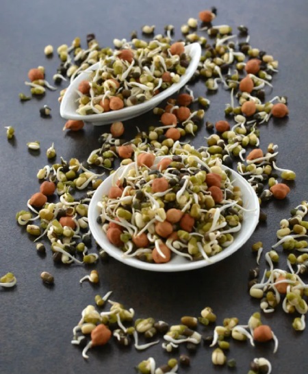 جوانه عدس برای چی خوبه؟