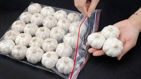 نگهداری از سیر با پوست