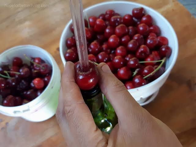 استفاده از لوله خودکار بیک