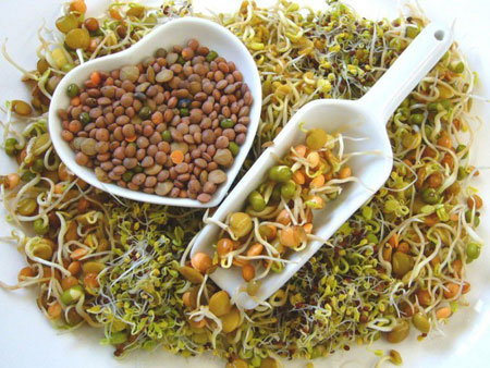 خواص جوانه عدس برای زنان
