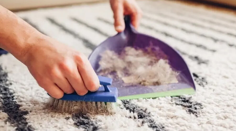 روش و ترفندهای جمع کردن مو از روی فرش و موکت بدون جارو برقی