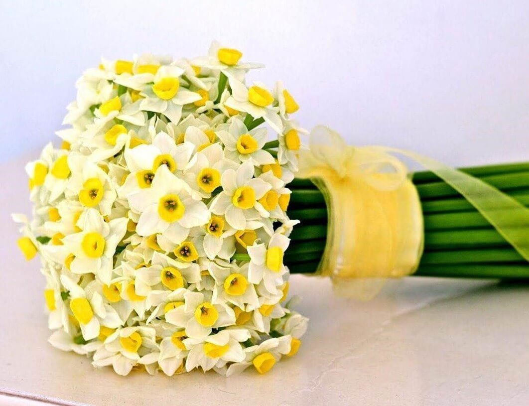 بهترین زمان برای کاشت و پرورش گل نرگس