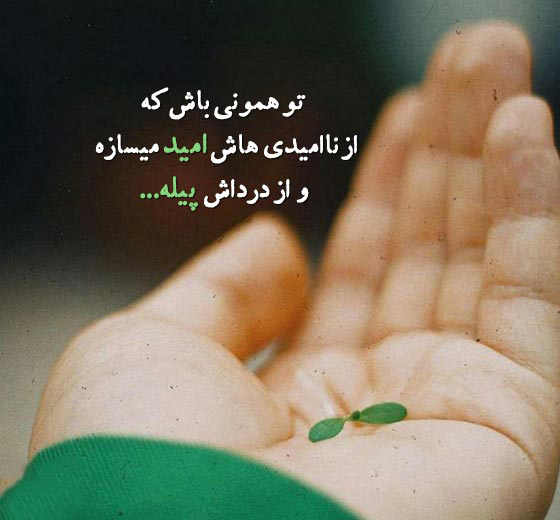 شروع دوباره زندگی بعد از سخت ترین روزها به چه معناست؟