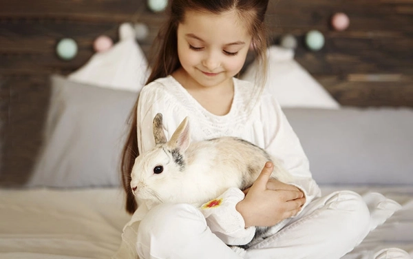 نکاتی برای حفظ آرامش خرگوش