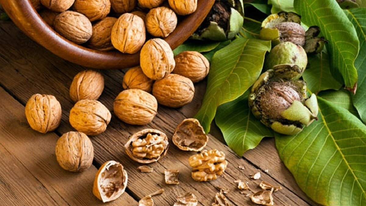 بهترین ظرف برای نگهداری گردو چیست؟