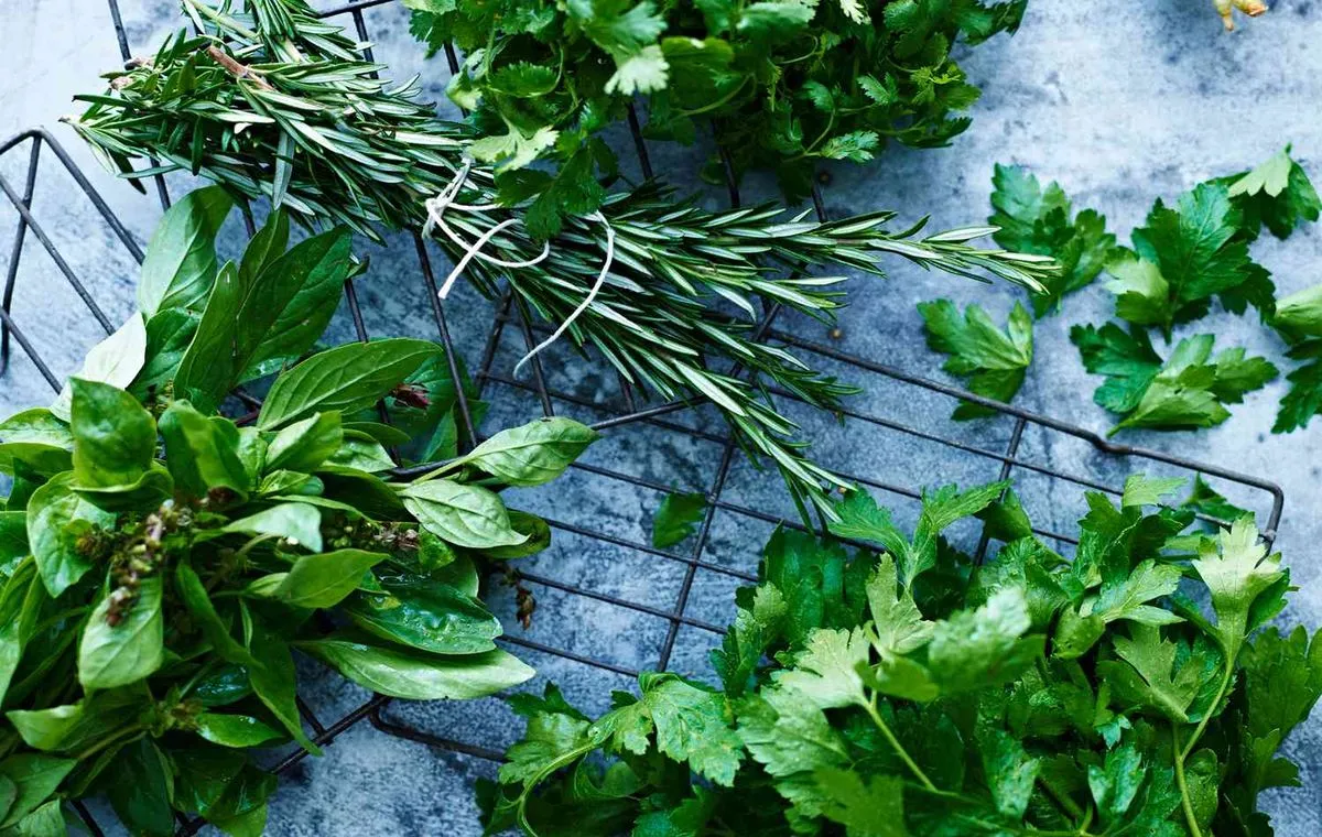 نگهداری در یخچال