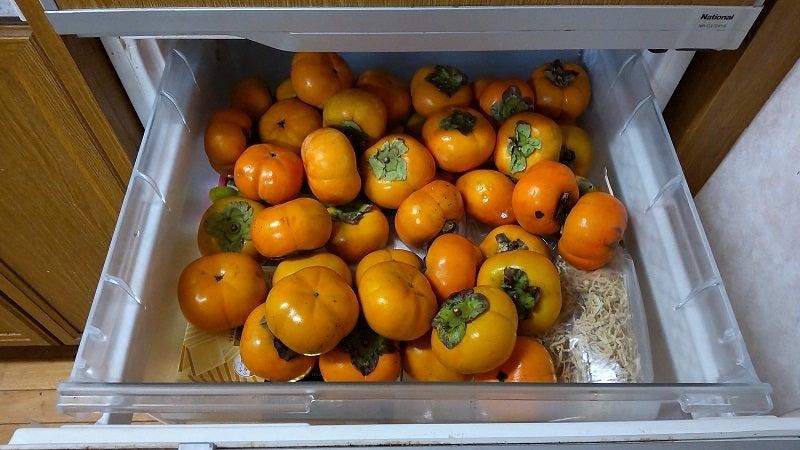 طرز نگهداری خرمالو در یخچال برای مدت طولانی