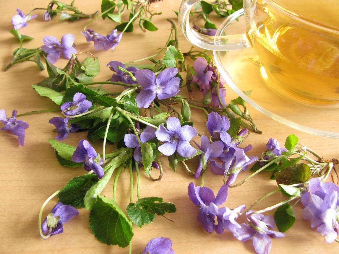 دمنوش گل بنفشه برای چی خوبه؟