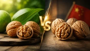 تشخیص گردوی چینی از ایرانی